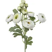 Kaemingk Everlands Ranonkel Wit 6 Bloemen & 6 Knoppen 55 cm - Kunstbloemen