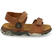 Develab 48493 757 cognac (21-3)