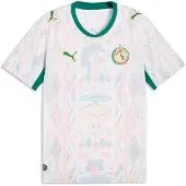 Puma Tricot 'Senegal 2026' hemelsblauw / grasgroen / rosa / wit