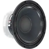 Visaton PAW 25 - 8 Ohm 10 inch 25 cm Midwoofer 300 W 8 Ω