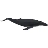 MOJO sealife bultrug 387119