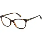 Polaroid Bril - - PLD D560 - Havana - Polyamide - Dames