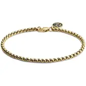 Lucleon Essentials | 3 mm Goudkleurige Armband met Gebogen Venetiaanse Schakels