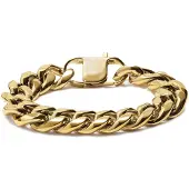 Lucleon 16 mm Goudkleurige Stalen Schakelarmband
