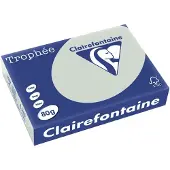 Clairefontaine Lichtgrijs A4 Gekleurd papier 80 grams (500 vel)