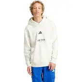 Adidas ALL SZN Fleece Graphic Hoodie