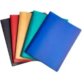 Exacompta 10x Showmappen in halfharde gerecyclede PP met 100 tassen Opak - Geassorteerd - 78600E