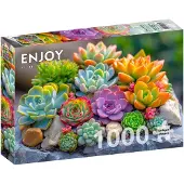 Enjoy Succulents Puzzel 1000 Stukjes