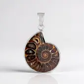 Cavill - Zilveren Hanger met 23 ct Ammoniet uit Madagaskar - 925 Sterling Zilver - Spiraalvormig Nautilus Design - Fancy Slijpsel - Elegante Hanger