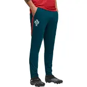 Puma Sportbroek 'Portugal' groen / donkergroen / donkerrood