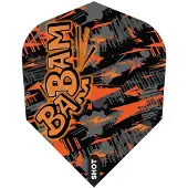 Shot Bradley Brooks NO6 - Dart Flights