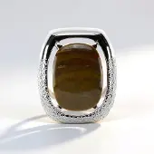 Cavill - Zilveren Hanger - 925 Sterling Zilver - Antiek Versteend Hout Cabochon 8 94 ct - 24x21 mm - Boho Chic Elegante Aardse Tint