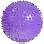 Pro-Fit PROfit Bal gimnastyczna met Massage 55cm Paars