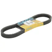 DAYCO V-snaar, Variomatik 8113K