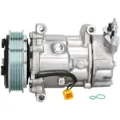 Delphi TSP0159851 Aircopomp