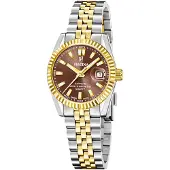 Festina Analoog horloge bruin