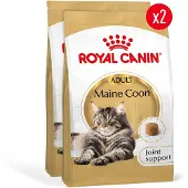 Royal Canin Maine Coon Adult - Kattenvoer