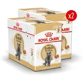 Royal Canin British Shorthair Adult Wet - Kattenvoer