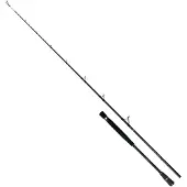 Colmic Naxos Spinning Rod Zilver 2.03 m / 300 g