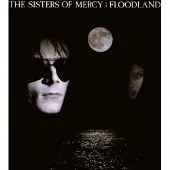 Warner Music Floodland (LP)