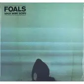 Warner Music What Went Down (LP)