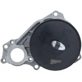 Valeo 529713 Waterpomp
