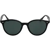 Ray-Ban Panthos RB4305F Zonnebril voor Mannen