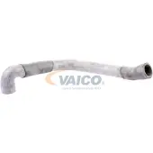 VAICO V30-1621 Radiateurslang
