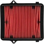 Champion Parts CAF0933 Luchtfilter