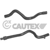 CAUTEX 026798 Radiateurslang
