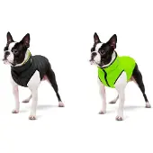 Collar Pet Airyvest Hondenjas