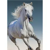 BrandMac fleece deken Wit Paard - 100 x 140 cm