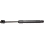RIDEX 219G0217 Gasveer achterklep