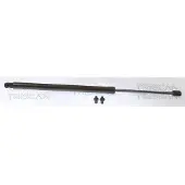 TRISCAN 8710 40245 Gasveer achterklep