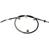KAVO PARTS STE-4062 Stuurkogel