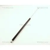 TRISCAN 8710 38207 Gasveer achterklep