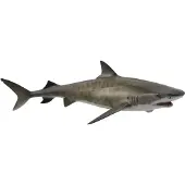 Collecta Figurine - Tijgerhaai - (L) - Zeedieren - Handgeschilderd - Miniatuur