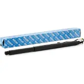 BUGIAD BRD50728 Gasveer achterklep