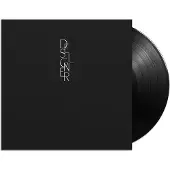 Beggars Designer (LP)