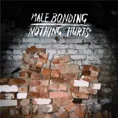 Konkurrent Male Bonding - Nothing Hurts (LP)