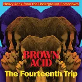 Coast2Coast Various Artists - Brown Acid: The Fourtheenth Trip (LP)