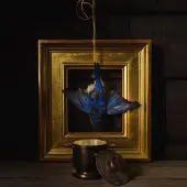 Import Beholder