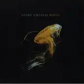 Cd Waves