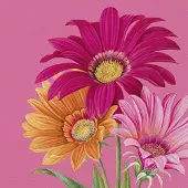 IHR Lunch servetten - Joyful Gerbera Pink