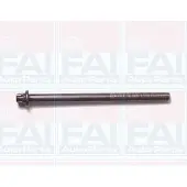 FAI AutoParts B1050 Cilinderkopbouten