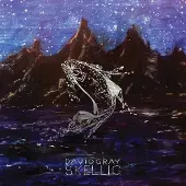 Membran 17% Fee Skellig (LP)