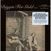 V2 Border V/A - Diggin' For Gold Vol.13 (LP)