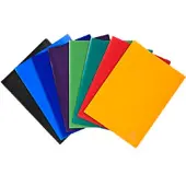 Exacompta Showalbum 8590E A4 Kleurenassortiment 90 hoezen 8 Stuks