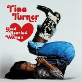 Cd Tina Turner - Good Hearted Woman-the Definitive Edition