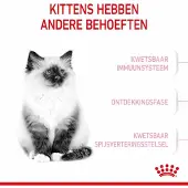 Royal Canin 4x Kitten Kattenvoer 4 kg